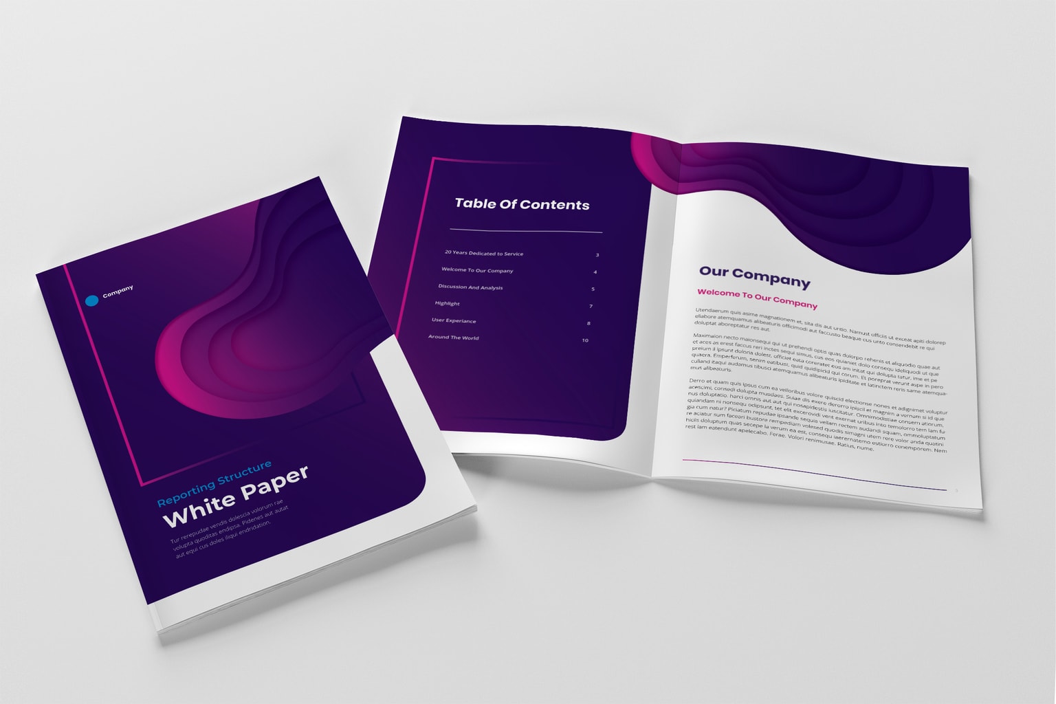 Company Progress Report