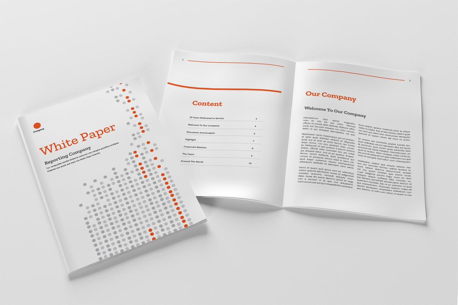 white paper example - Company Report