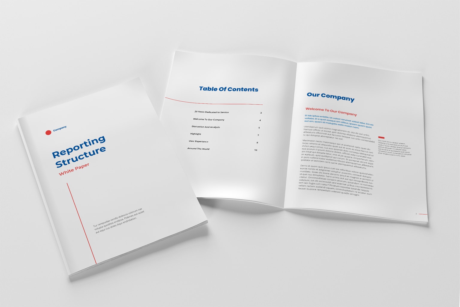  white paper format template- Company Structure Report