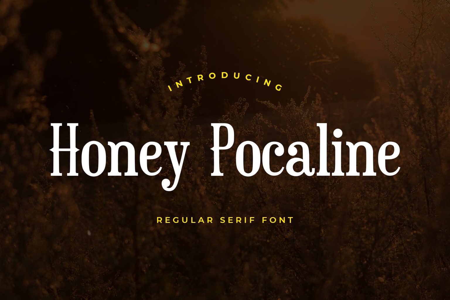 Honey Pocaline Serif Font Honey Pocaline Serif Font