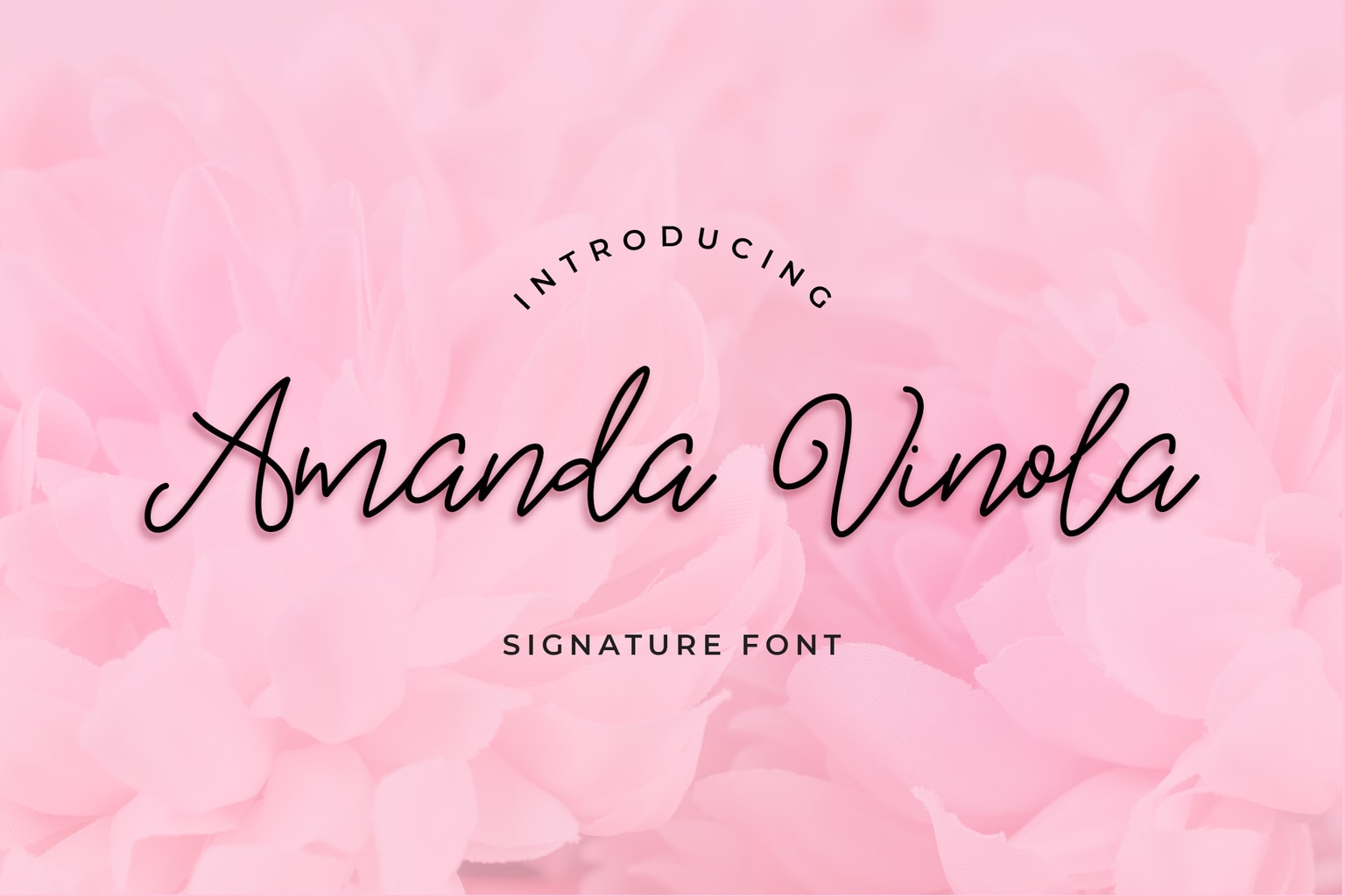 Amanda Vinola Handwritten Script Font Amanda Vinola Handwritten Script Font