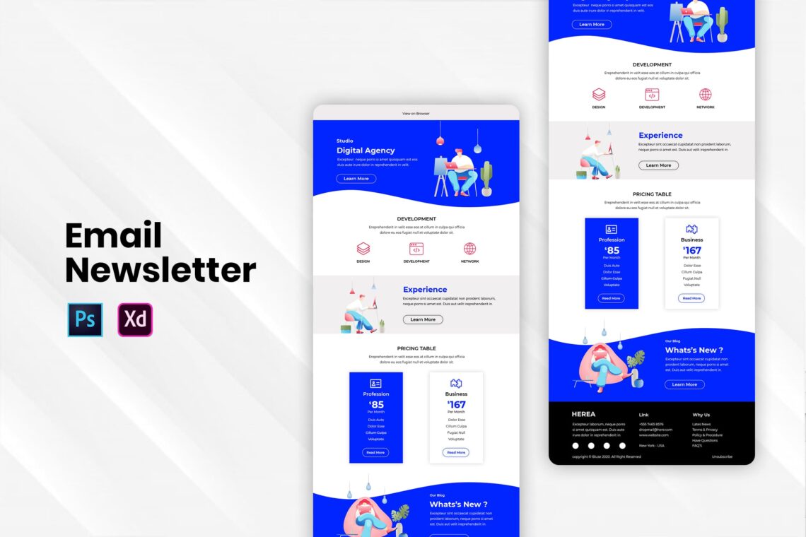 Digital Agency – Email Newsletter