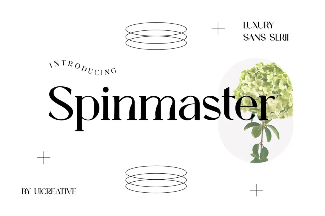 Spinmaster Modern Display Serif Font