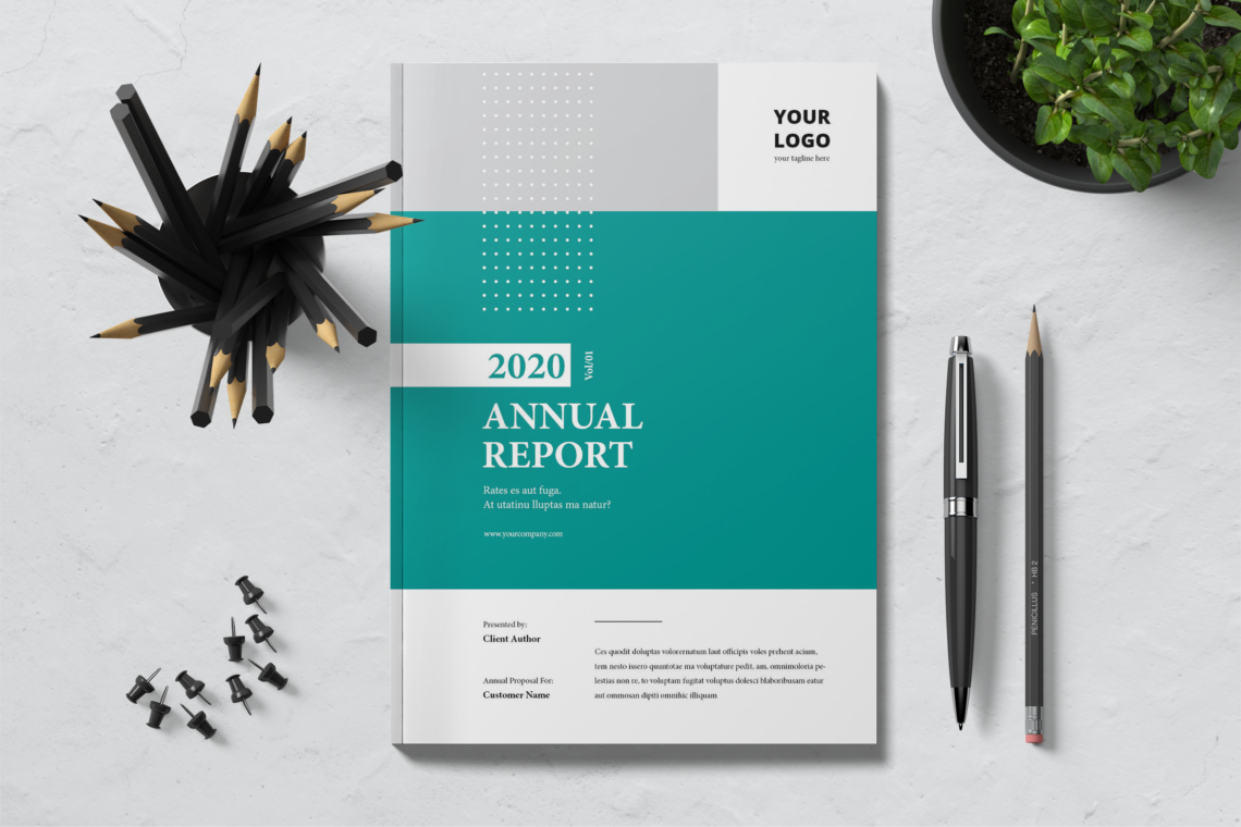 Annual Report Company Business Review 2 4png