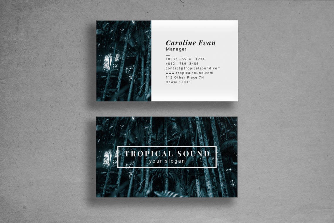 Business Card Sound Manager Identitypng
