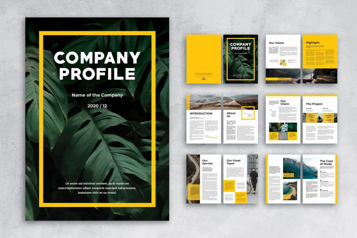 Company Profile Geographical Researherjpg