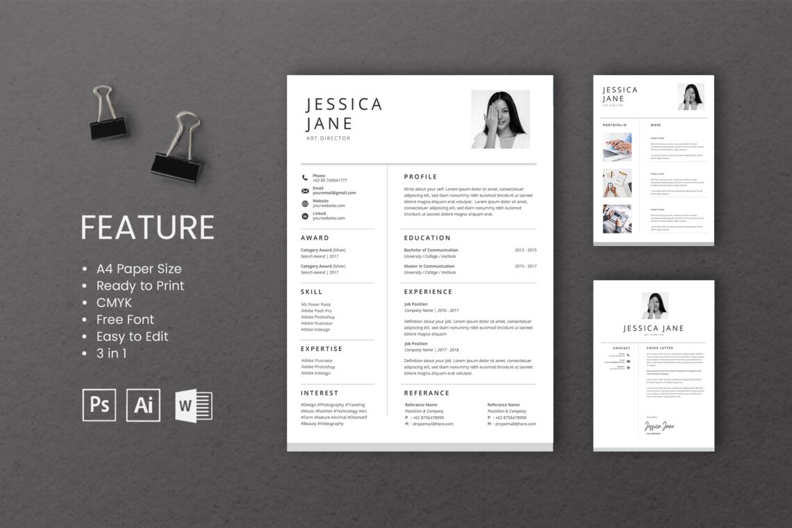 Cv Resume Art Director Profile 2