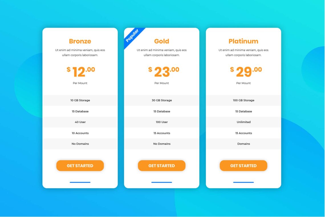 Pricing Table Package Options
