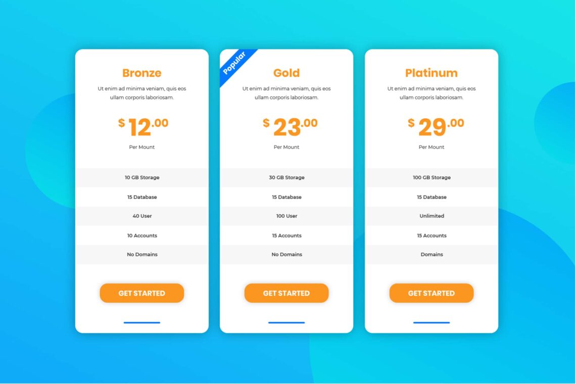 Pricing Table Package Options 