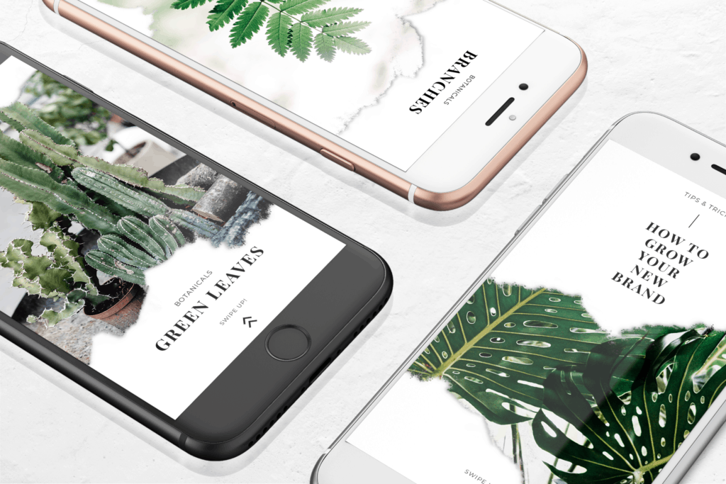 Instagram Stories – Green Botanical Theme - UI Creative