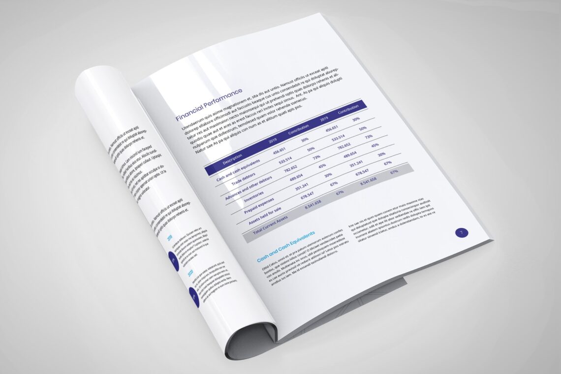 White Paper - Reporting Paper