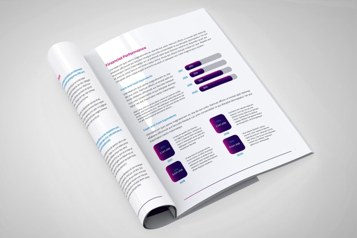 White Paper - Company Progress Report