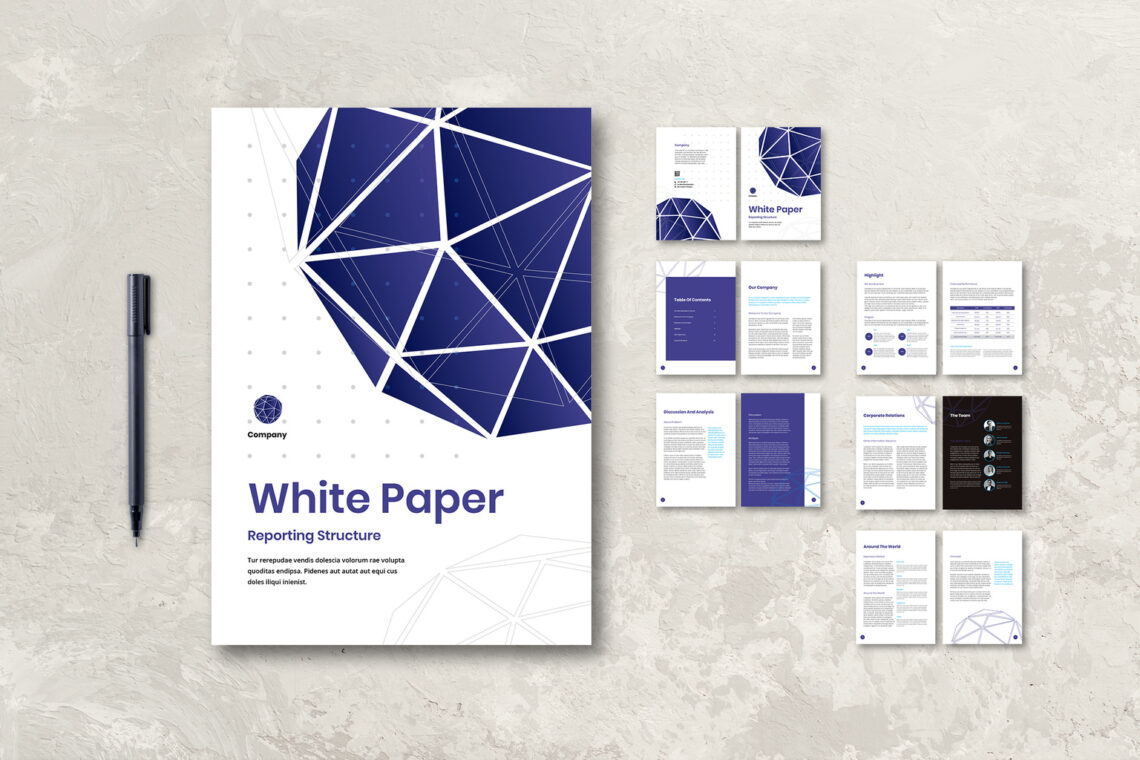 White Paper - Reporting Paper