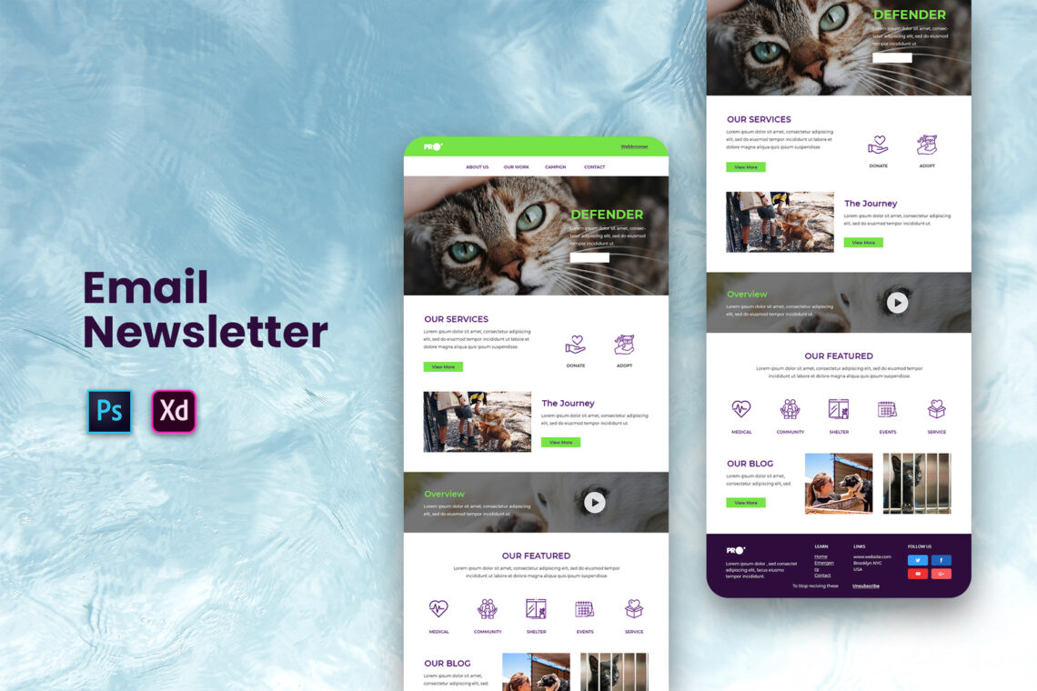 Animal Care Services - Email Newsletter