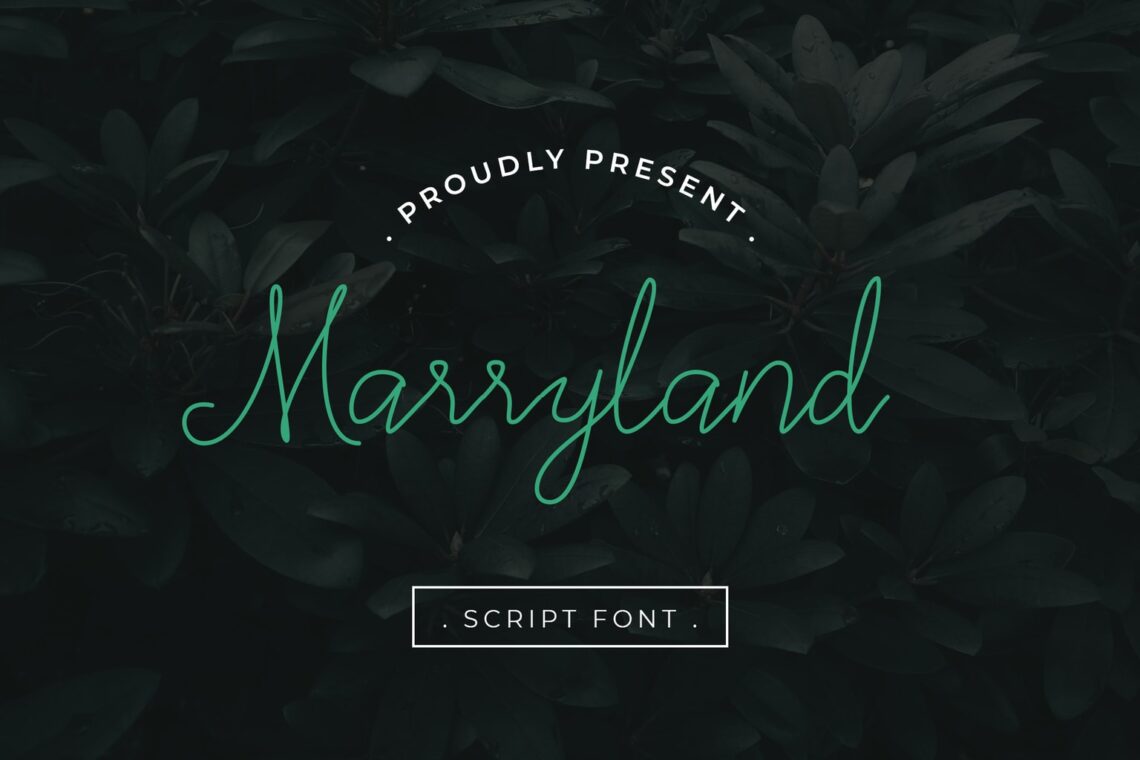 fonts marryland script Marryland Handwritten Script Monoline