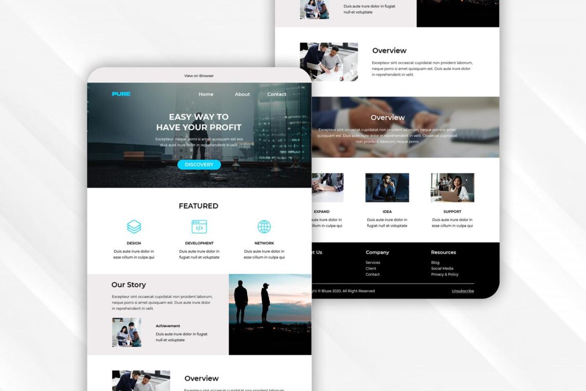 profit building strategy email newsletter