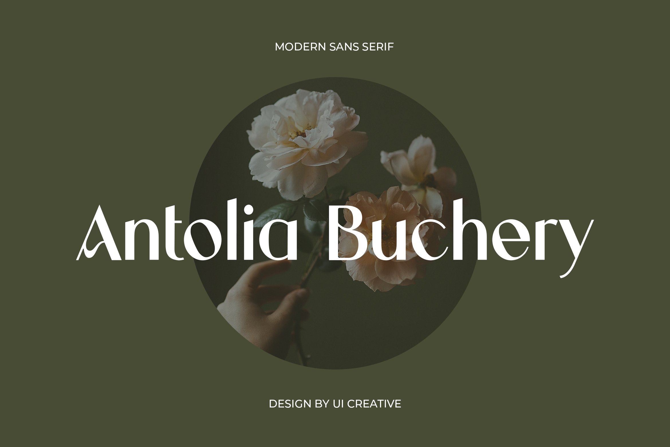 Antolia Buchery Modern San Serif Font