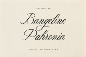 bangeline pahronia calligraphy font 9