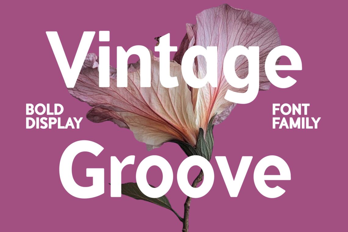 Vintage Groove Bold Display Family Font
