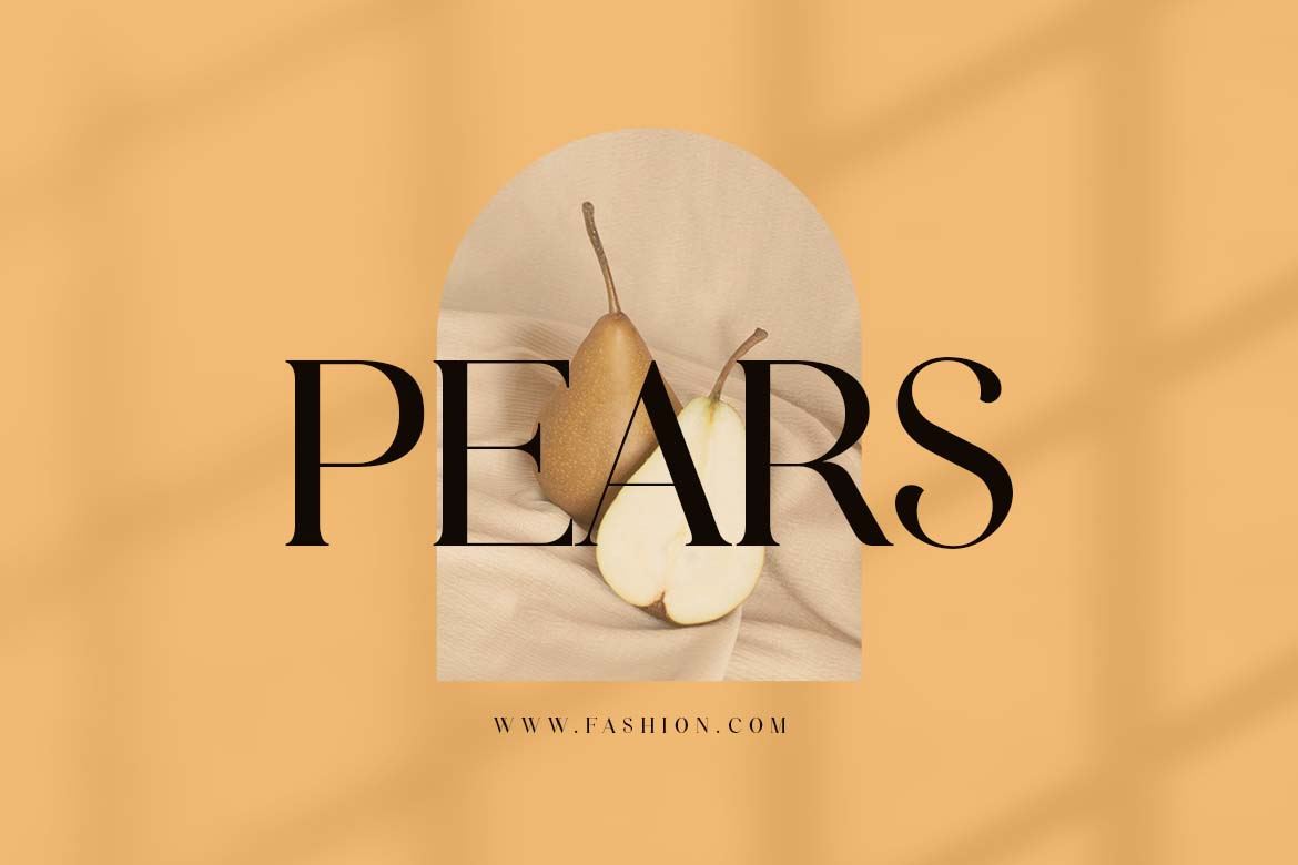 Modest Steady Display Serif Font-9