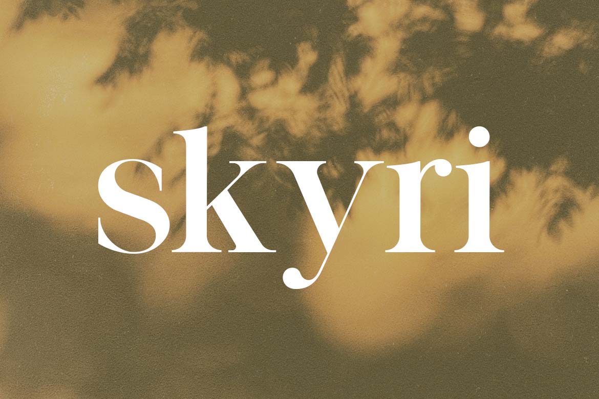 Vintage Factory Retro Display Serif Font-9