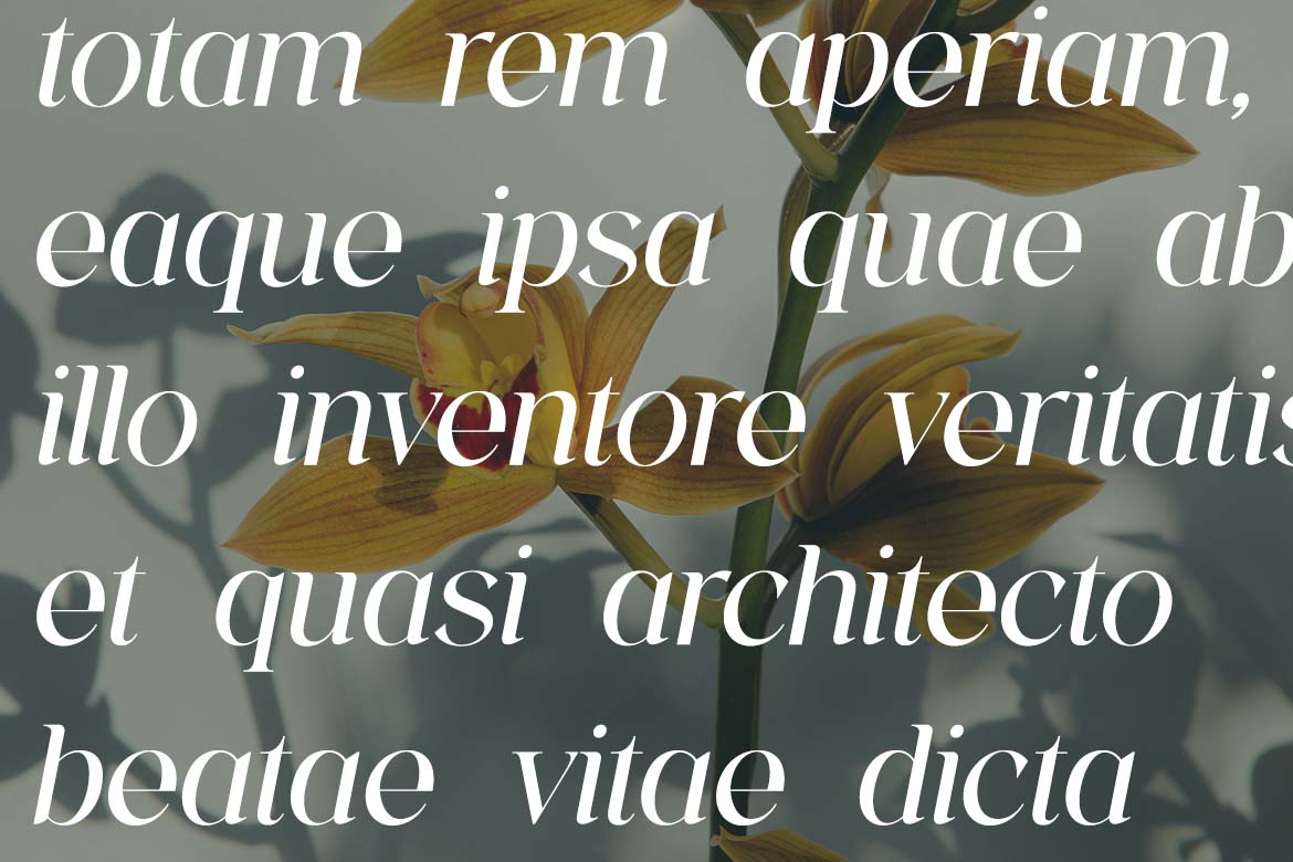 The Aesthetica Serif Modern Aesthetic Serif Font-9