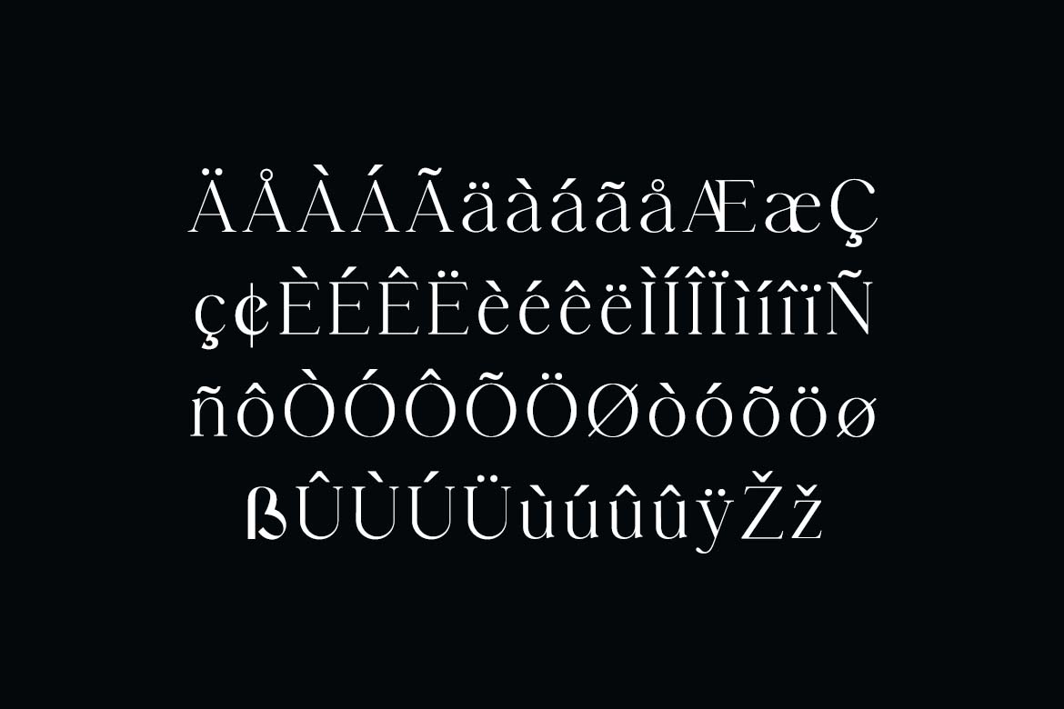 The Kensington Standard Classic Serif Family Font-9