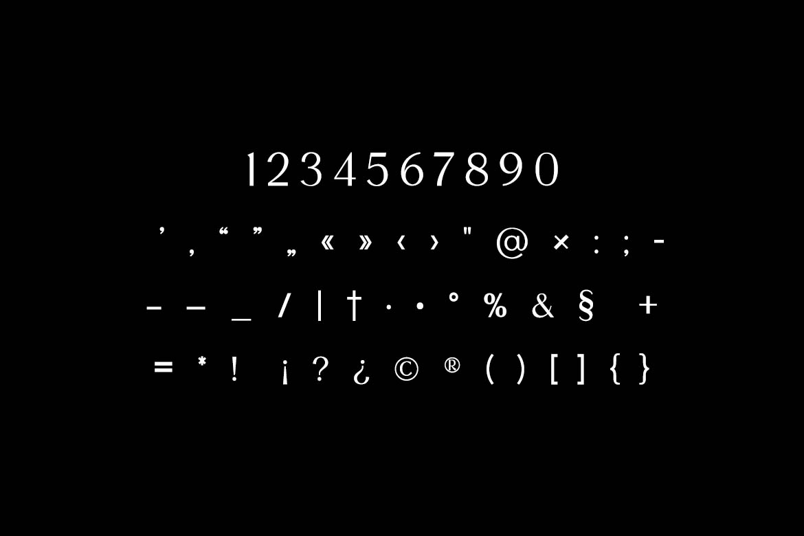 The Regalique Elegant Sans Serif Family Font-9