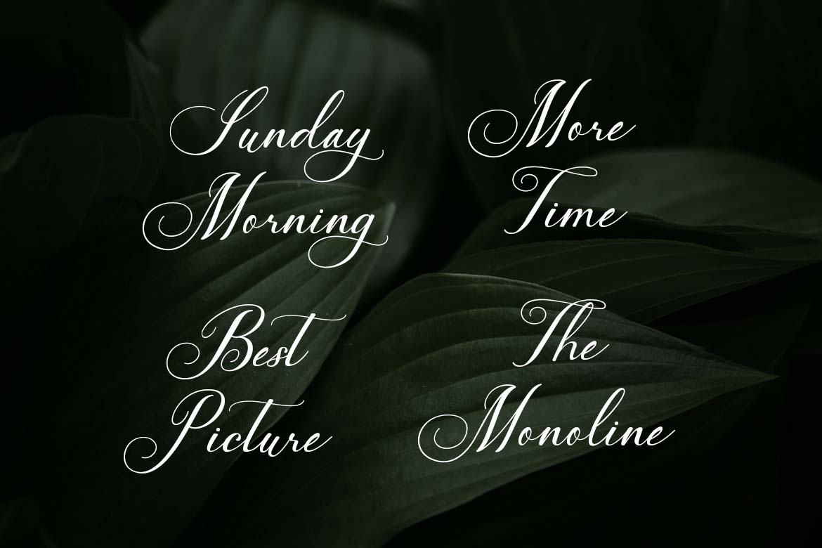 Symphony Romance Modern Calligraphy Font-10
