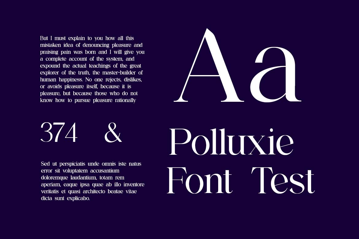 Backswings Modern Combination Serif Family Font-10