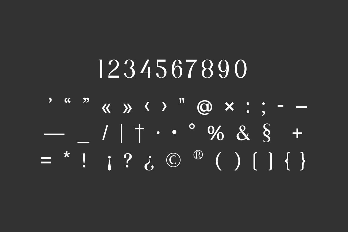 Pulmonate Display Headline Serif Family Font-10