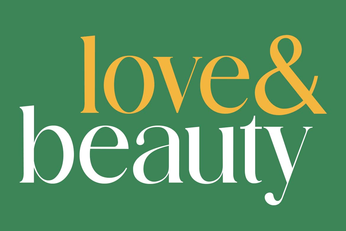 Modest Steady Display Serif Font-10