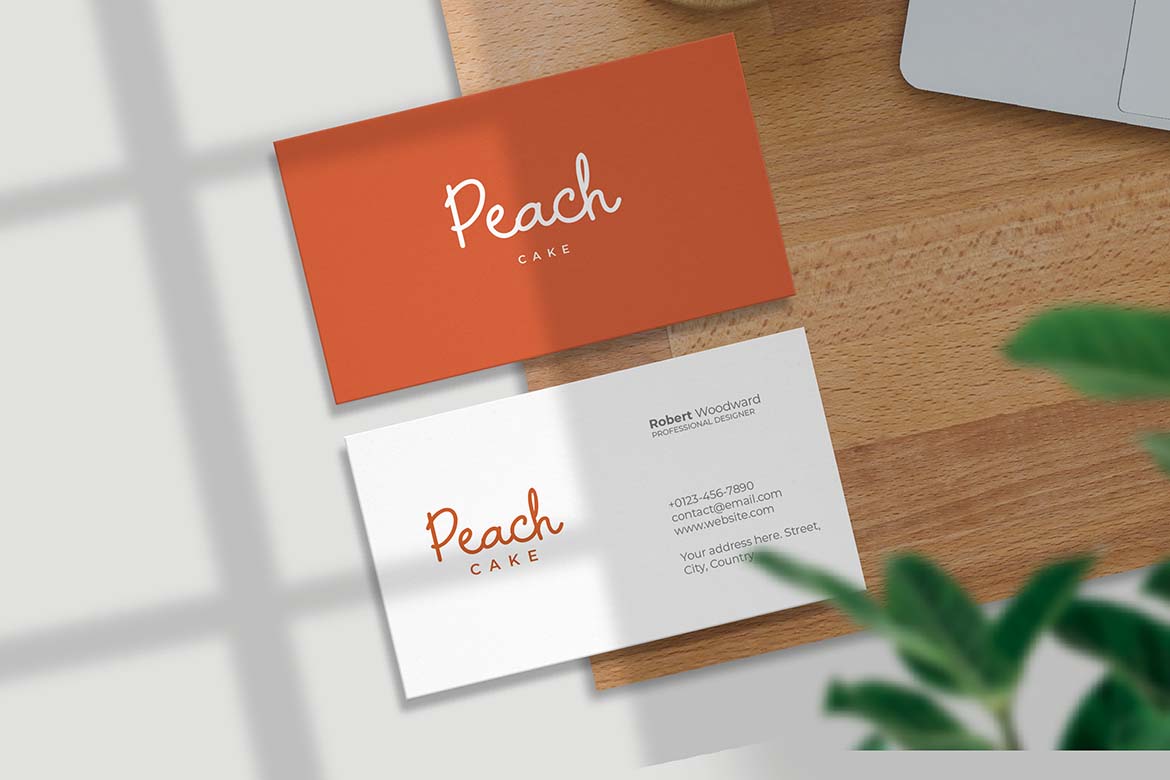 Vintage Paradise Retro Vibes Script Font-10