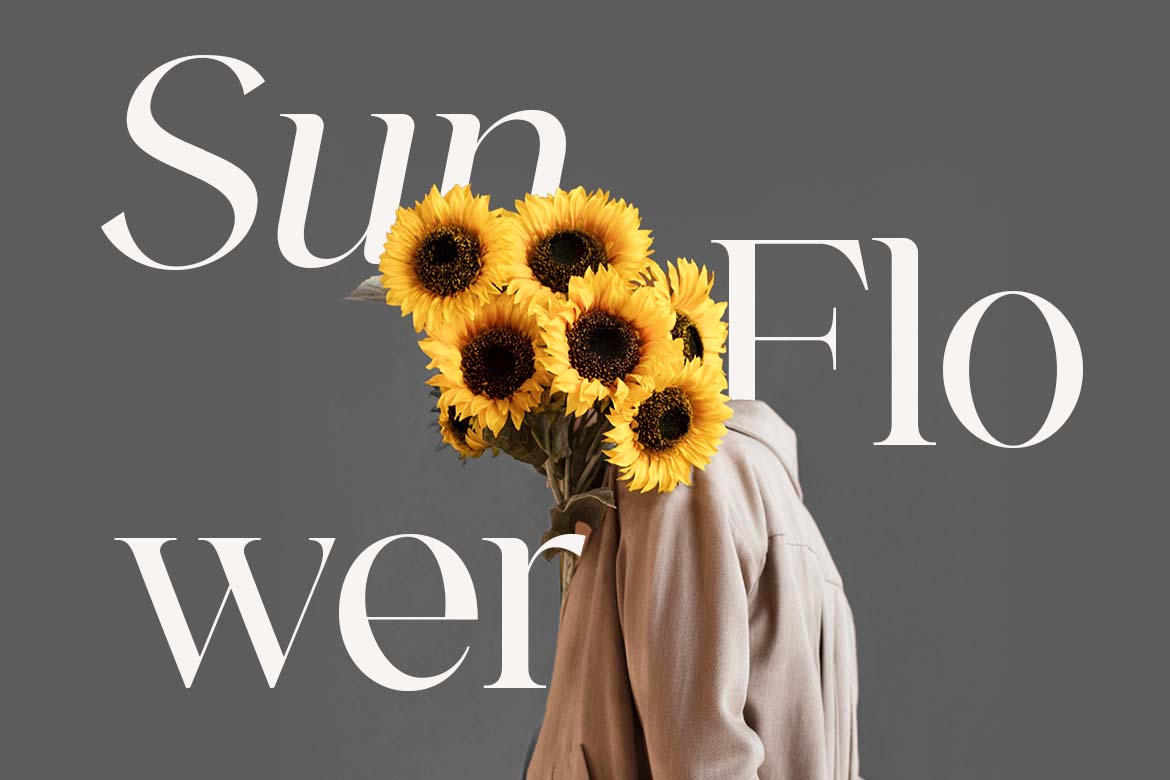 The Aesthetica Serif Modern Aesthetic Serif Font-10