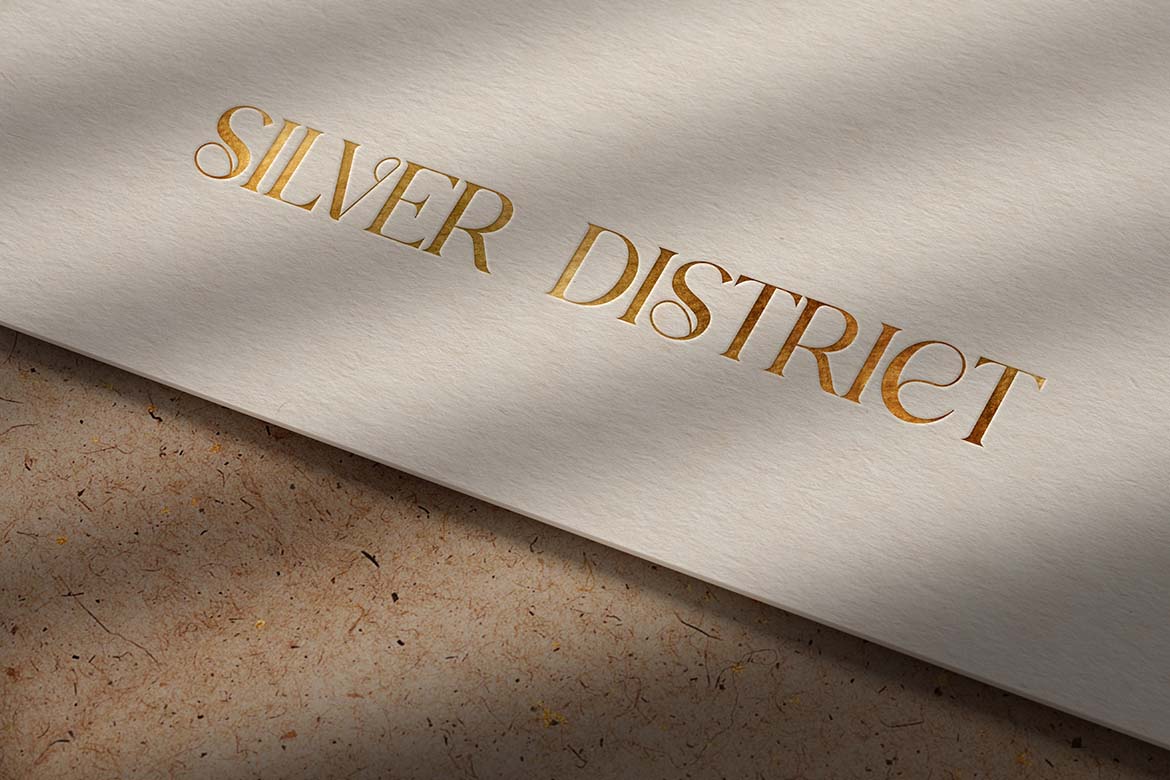 Silver District Modern Serif Font-11