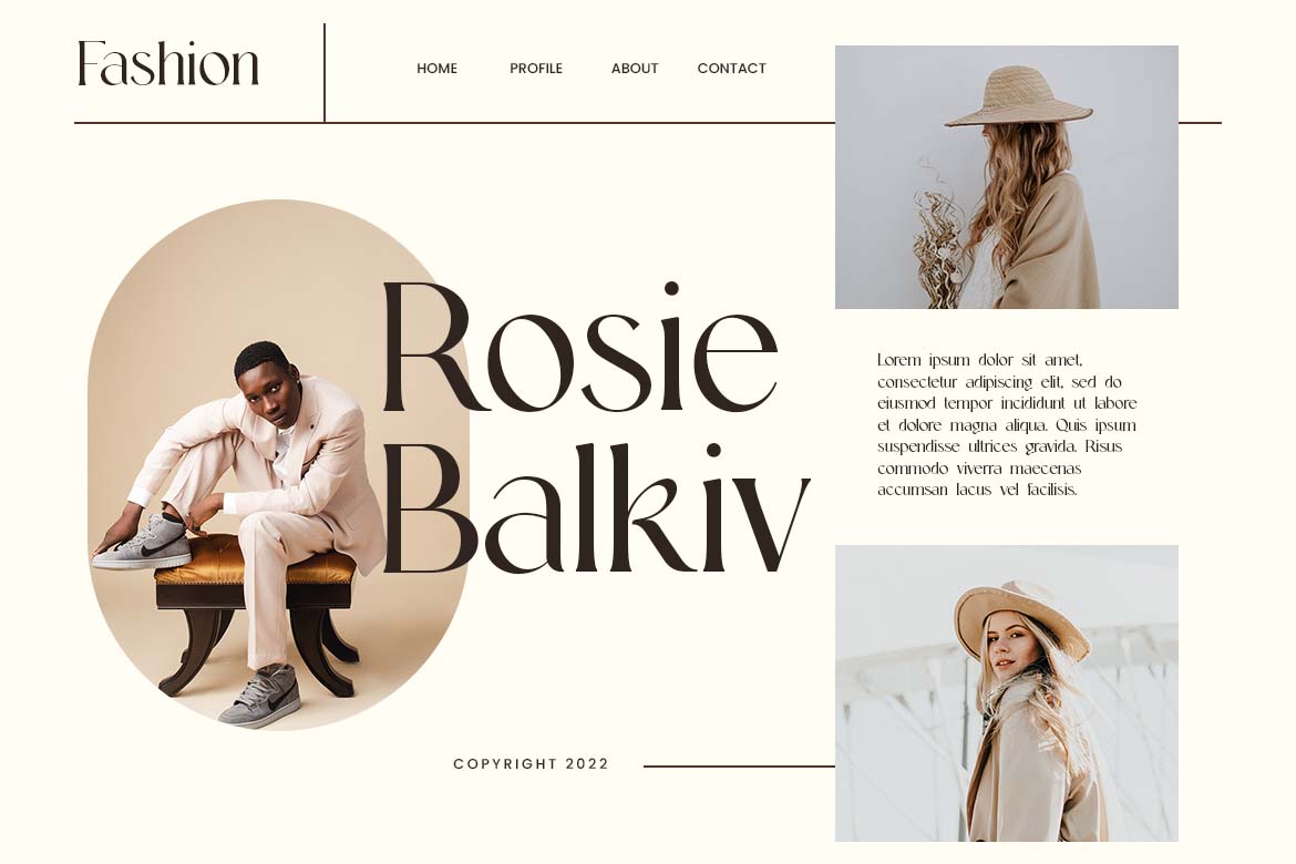 Midnight Chronicles Display Serif Font-11