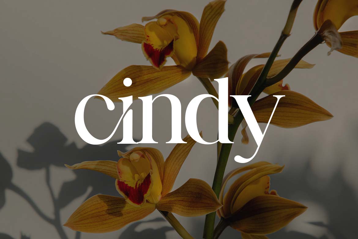 Dinner Junction Stylish Retro Serif Font-11