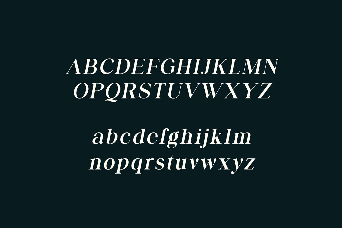 Business Elegance Luxury Display Serif Font-11