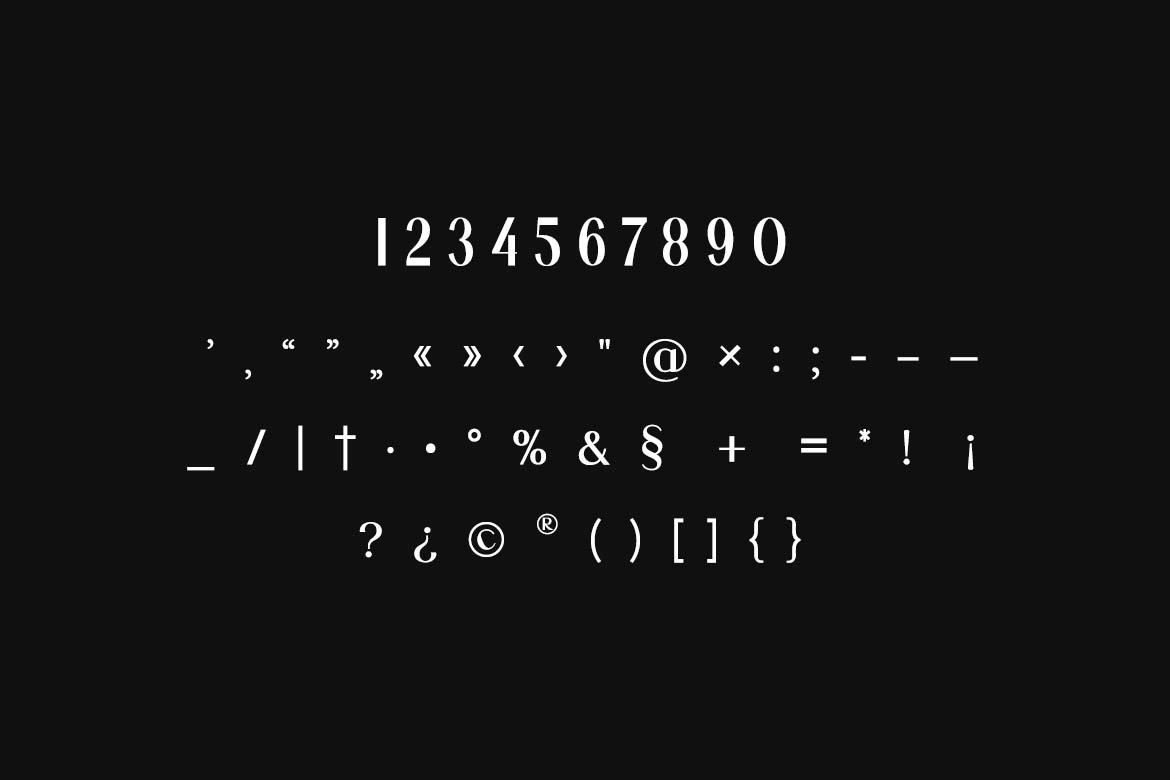 Anthology Paradise Duo Elegant Serif Font-11