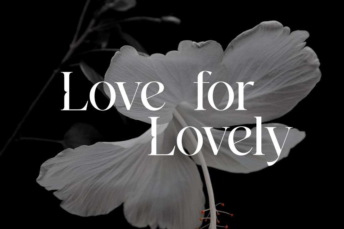Westbury Claridge Luxury Serif Font-11
