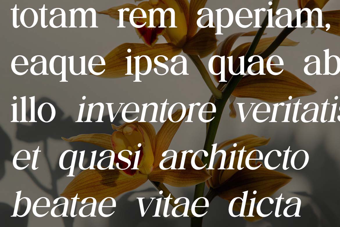 The Regalique Elegant Sans Serif Family Font-11