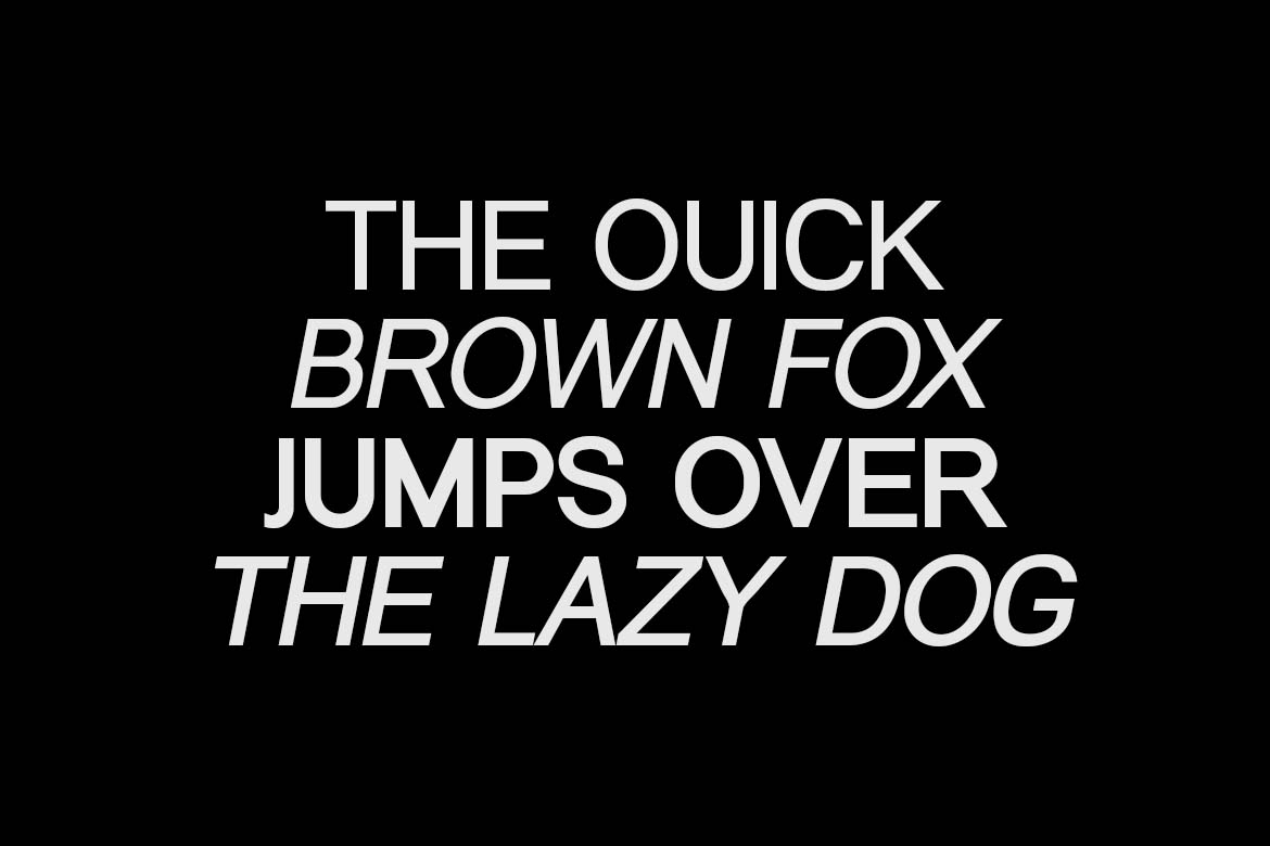 Prevalent Sans Pro Modern Sans Serif Family Font-1