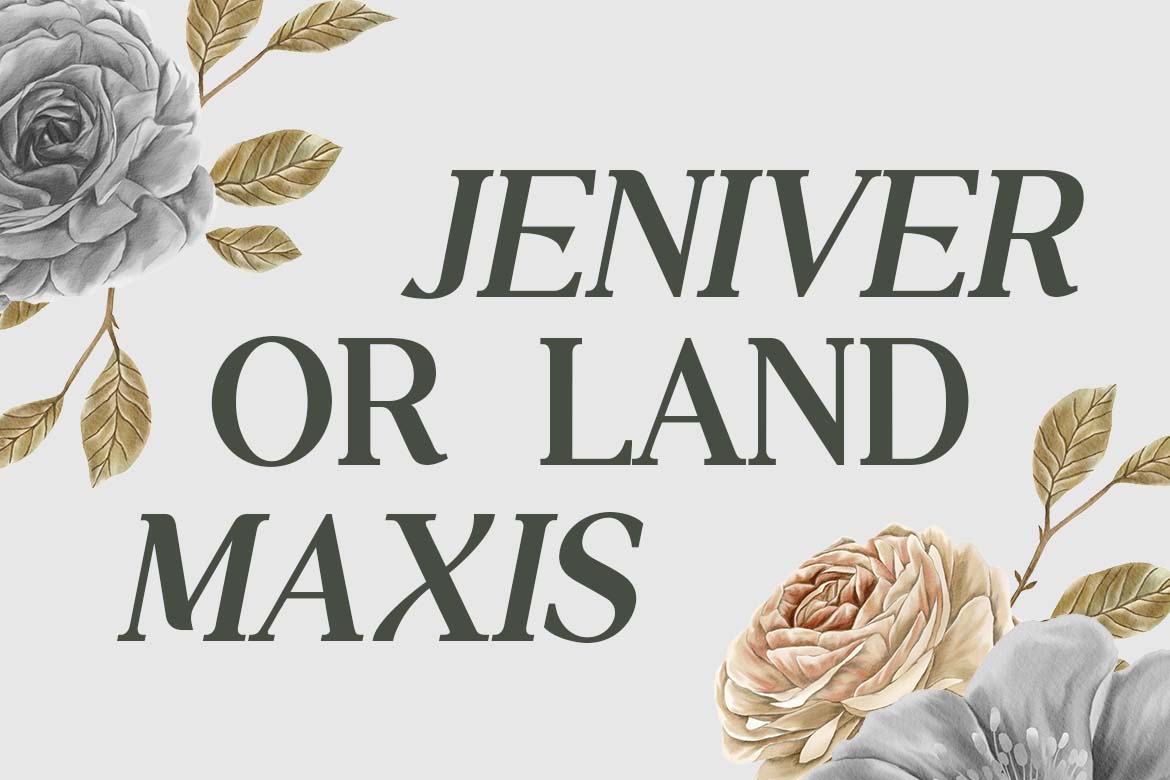 Swaying Elizabeth Modern Serif Family Font-1