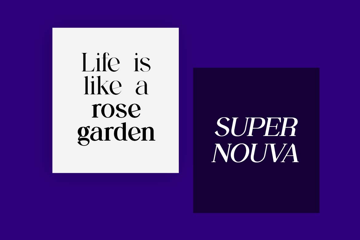 Backswings Modern Combination Serif Family Font-1