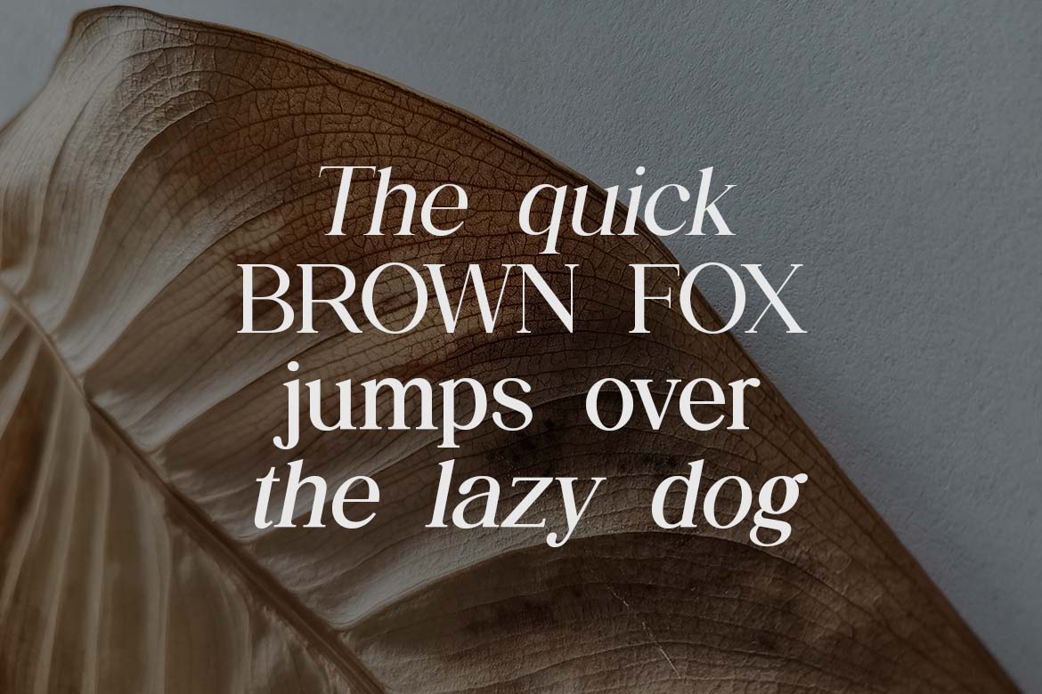 The Regalique Elegant Sans Serif Family Font-1