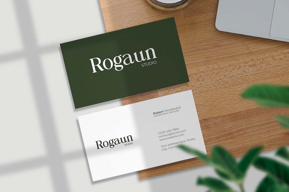 Swaying Elizabeth Modern Serif Family Font-2