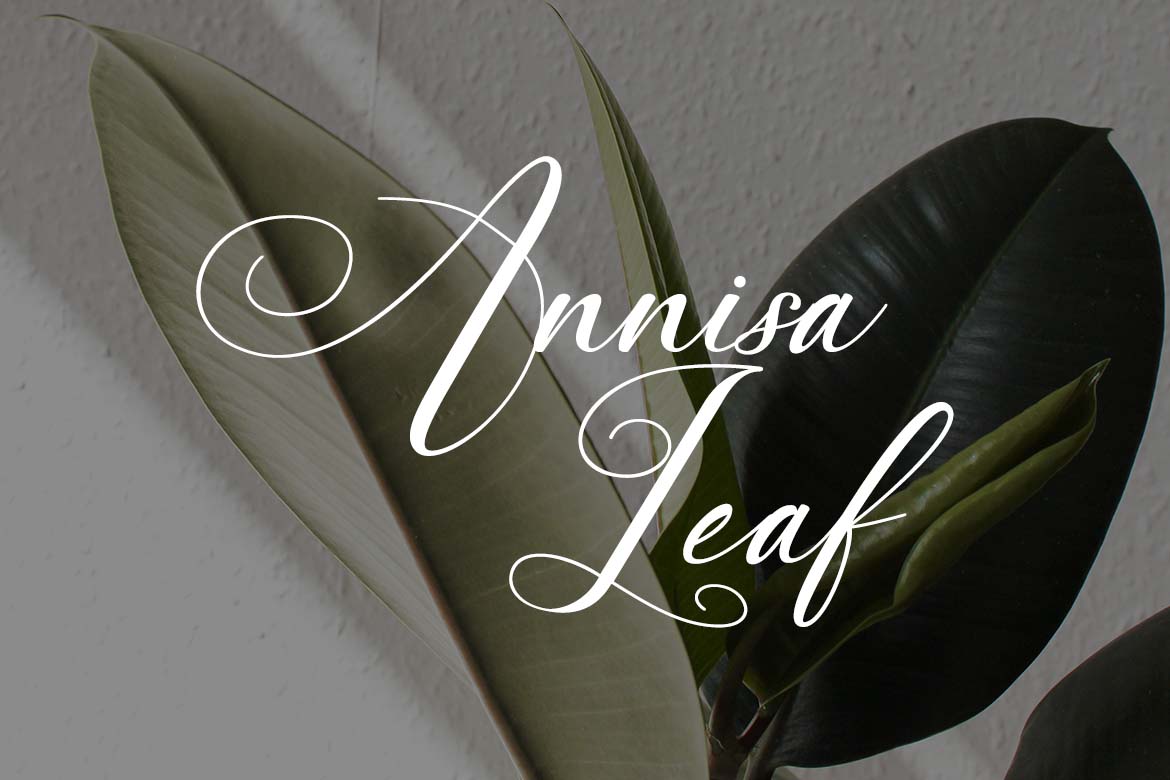 Symphony Romance Modern Calligraphy Font-2