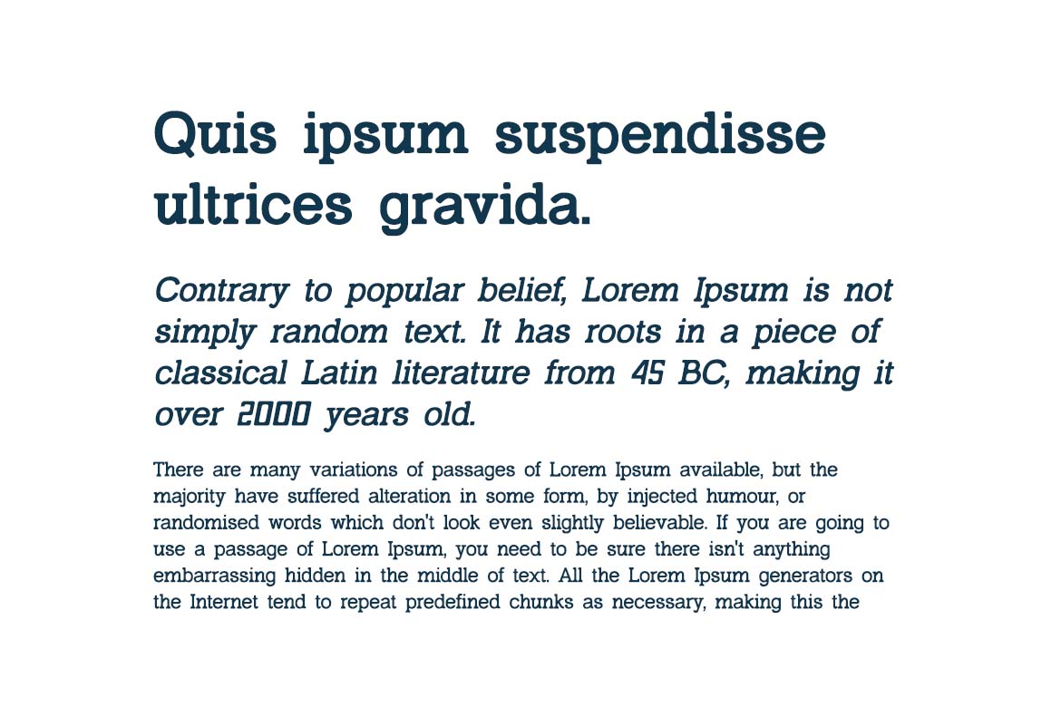 Monclair Elegant Classy Serif Family Font-2