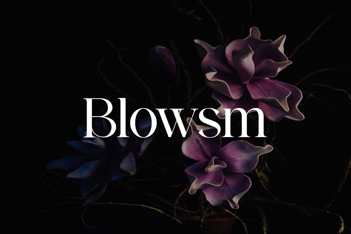 Westbury Claridge Luxury Serif Font-2