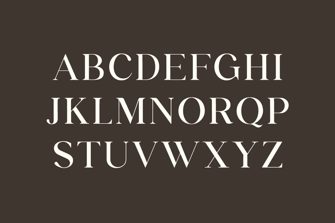 Dinner Junction Stylish Retro Serif Font-3
